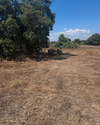 Terreno con parte edificabile, Matzaccara