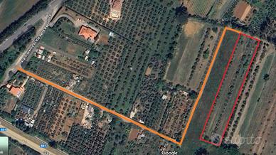 Terreno agricolo con pozzo, oliveta e frutteto