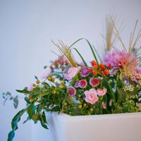 Esclusiva villetta a schiera di testa a Malo