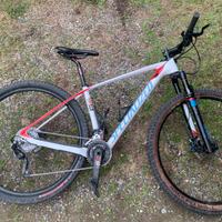 stumpjumper comp carbon