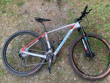 stumpjumper comp carbon