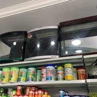 Acquari a metà prezzo