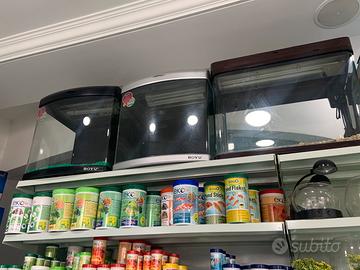 Acquari a metà prezzo