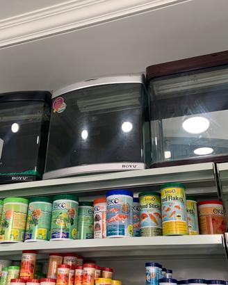 Acquari a metà prezzo