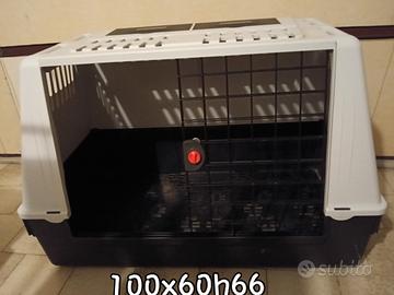 KENNEL