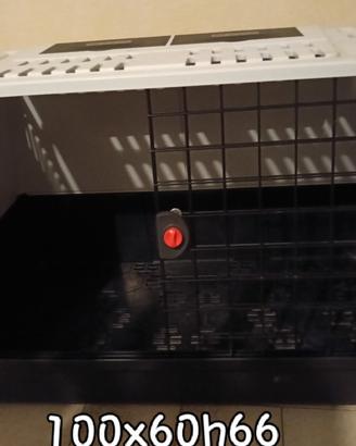 KENNEL