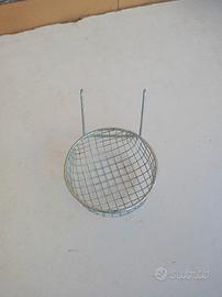 Esotici più canarino