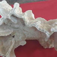 Corallo  di roccia  sintetica