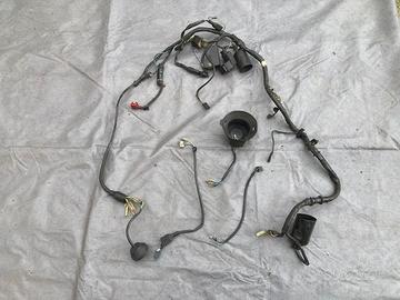 IMPIANTO ELETTRICO COMPLETO HONDA NS125 F- '85/'86