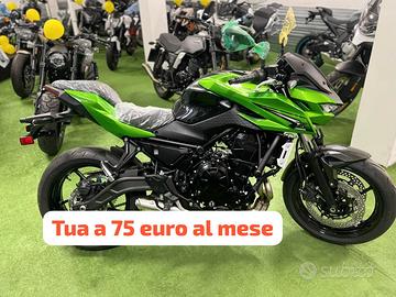Kawasaki Z 650 S - 2026 Intera Gamma