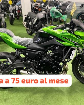 Kawasaki Z 650 S - 2026 Intera Gamma