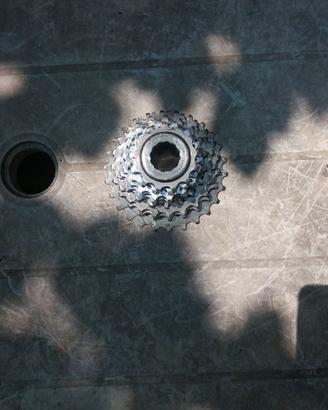 pignoni Campagnolo titanium