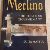 Merlino, il destino di un giovane mago