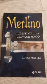 Merlino, il destino di un giovane mago