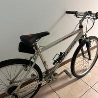 Mountain bike Specialized