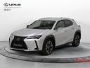 lexus-ux-hybrid-premium