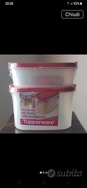 Tupperware set due contenitori 