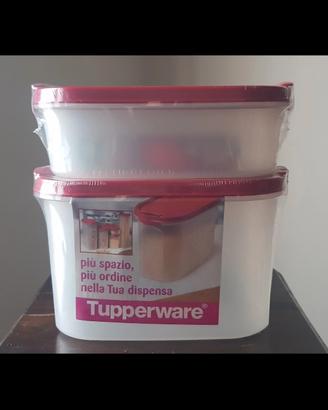Tupperware set due contenitori 