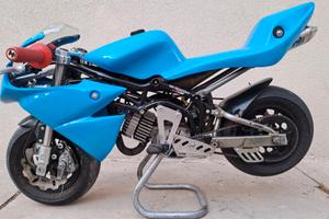 Minimoto DM Junior