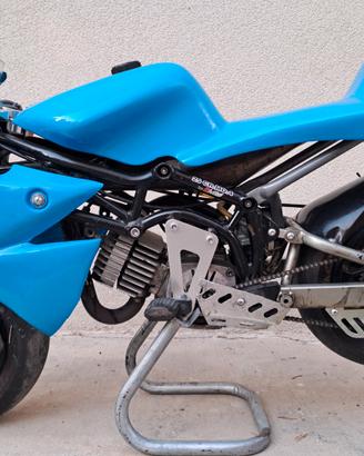 Minimoto DM Junior