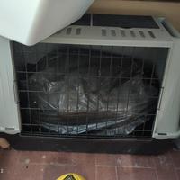 Trasportino cane FERPLAST