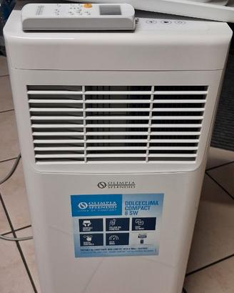 Climatizzatore portatile