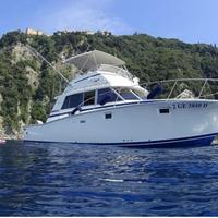 Bertram 38 Fly MK III