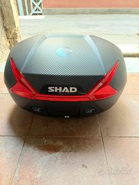 Bauletto shad sh47