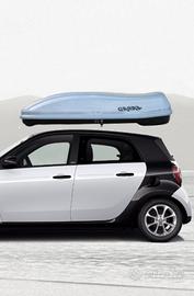 box tetto auto Smart originale