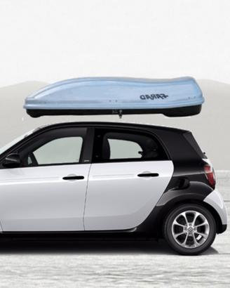 box tetto auto Smart originale