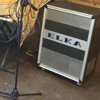 Amplificatore Leslie Elka