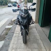 Benelli TRK 502 - 2022