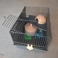 gabbia per criceti come nuova Indoor 2 by zolux