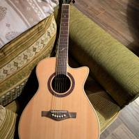chitarra eko one series