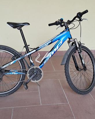 Mountain bile 24''