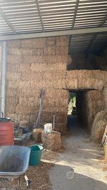 Paglia di grano in ballette