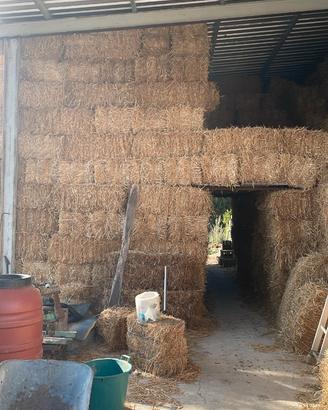 Paglia di grano in ballette