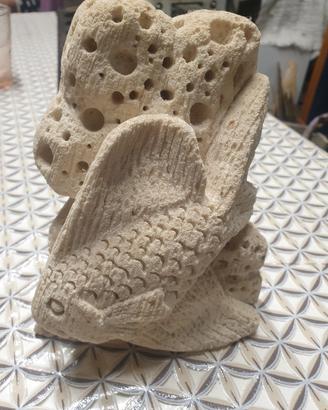 scultura in in spugna o corallo 