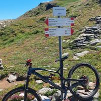 nukeproof mega 275