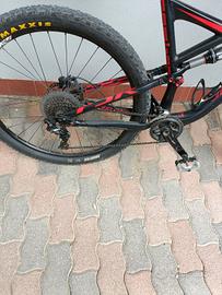bici mtb-full specialized tg.xl