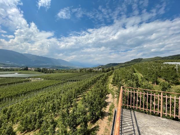 Porzione di casa con ampio terreno Agricolo