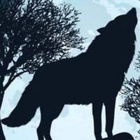 Allevamento e affisso Enci cane lupo cecoslovacco