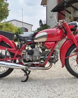 Moto Guzzi Falcone Sport 500cc - Targa Roma