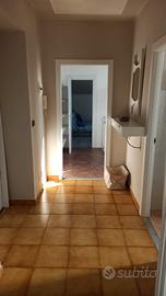 Privato affitta cuneo centro via bassignano