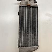 Radiatore DX
