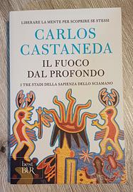 Il fuoco dal profondo di Carlos Castaneda 