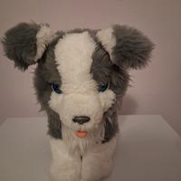 cane richy ful real interattivo