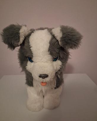 cane richy ful real interattivo