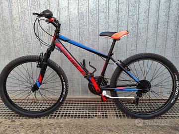 Mountain Bike MBM district 24