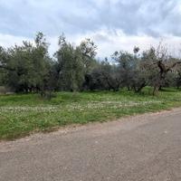 Terreno agricolo 15000m fronte strada pianeggiante